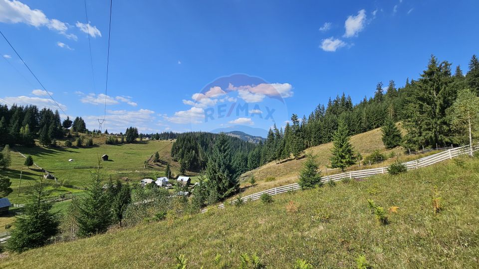 Casă / Vilă de vacanta in Dorna Arini, Suceava