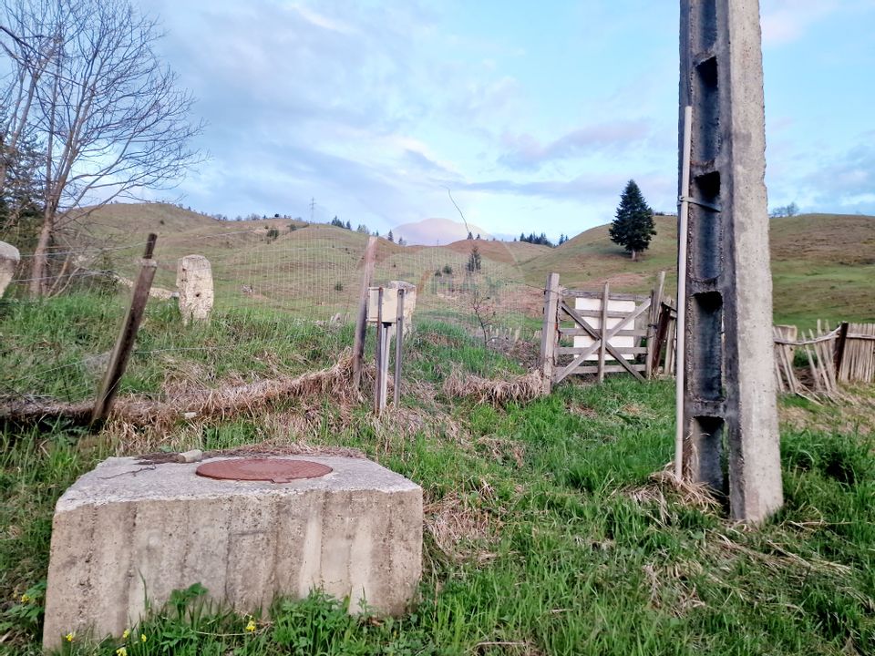 Land 941sqm Hangu / DN ruginesti