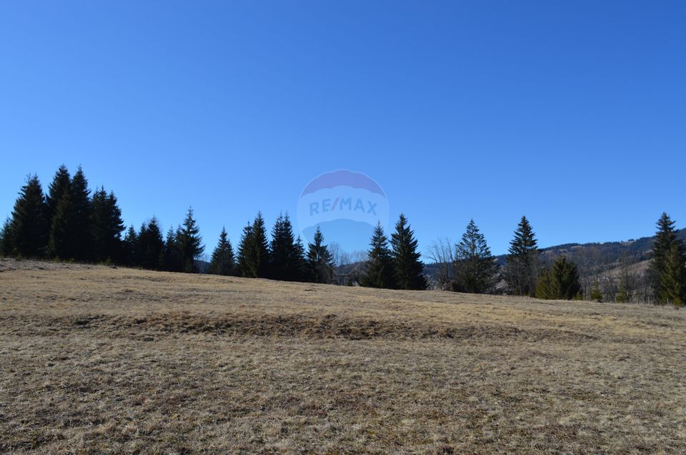 Land 8,700sqm Saru Dornei / None