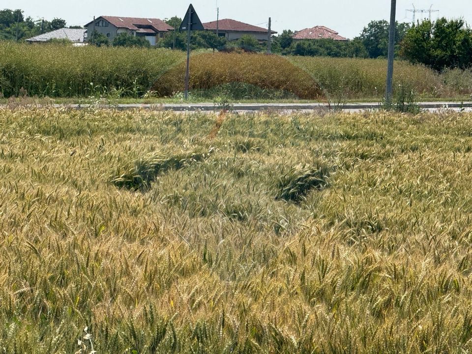 Land 10,164sqm Vadu Anei / Est