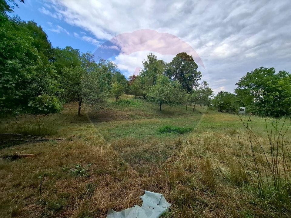 Land 990sqm Barzava / Soseaua Principala