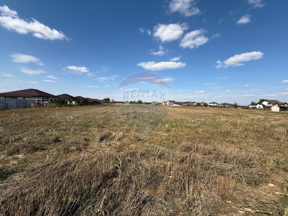 Land 5,000sqm Sabareni / Strada Trandafirilor