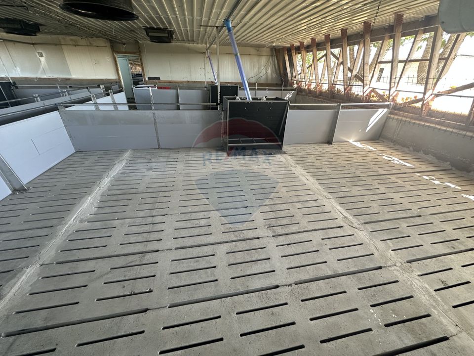 5,000sq.m Industrial Space for sale