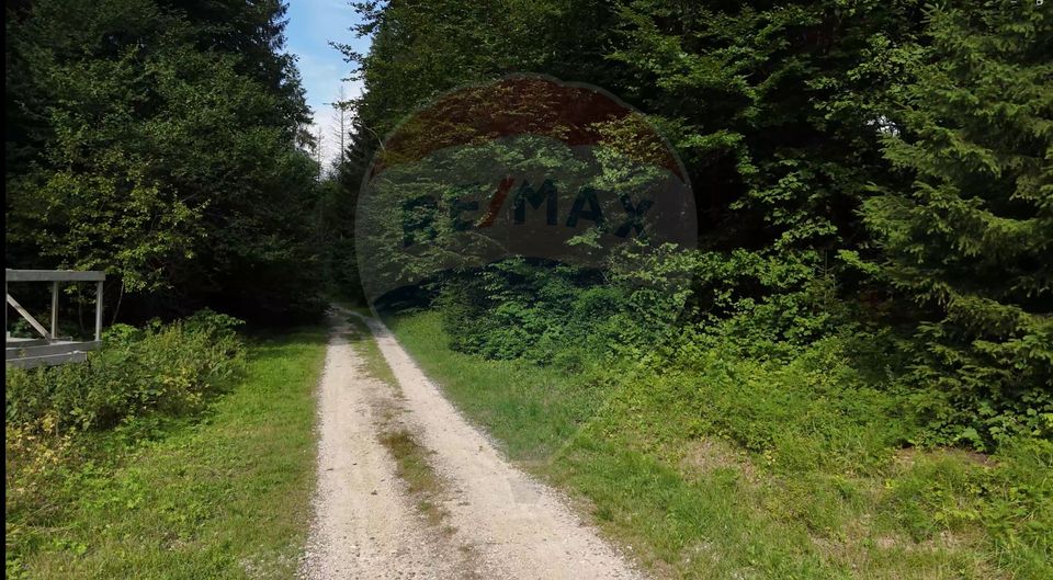 Land 2,000sqm Poiana Brasov / Strada Valea Cheii