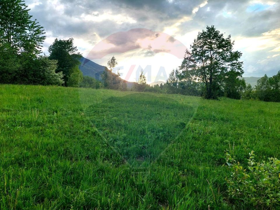 Land 4,223sqm Zarnesti / Strada Tohanita