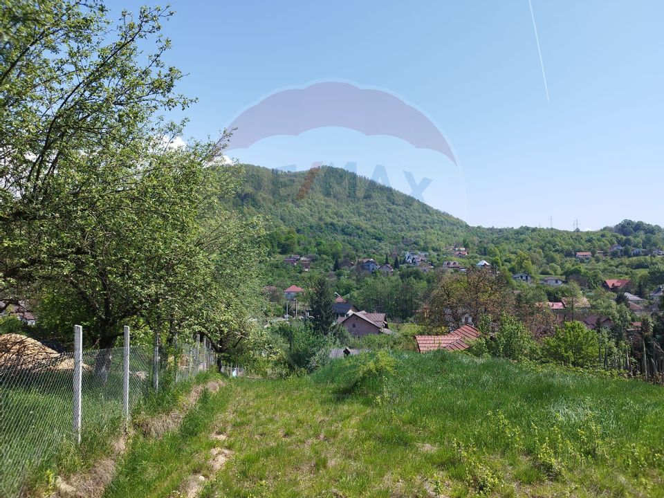 Land 1,650sqm Baia Mare / Strada Valea Borcutului