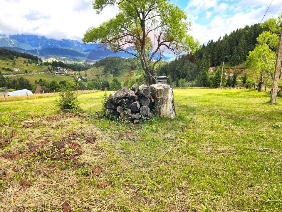 Teren de vis în Fundata 1934mp sau 3868mp, la înălțimea sufletului tău