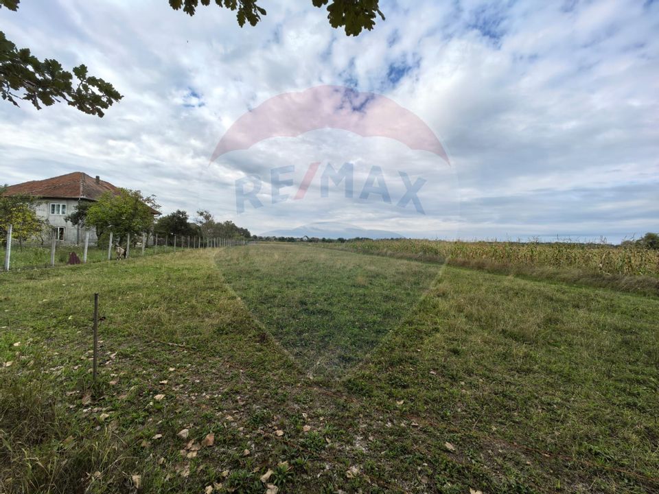 Teren 3,685mp Somcuta Mare / Strada Mocirii