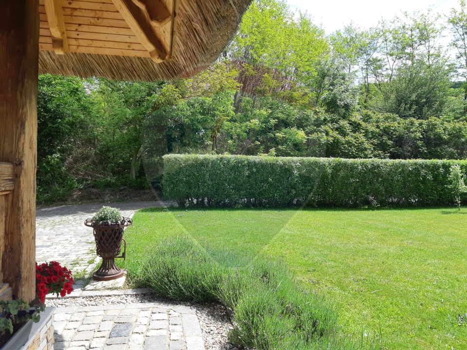 Casă cu arhitectura traditionala romaneasca I Salicea I Cluj