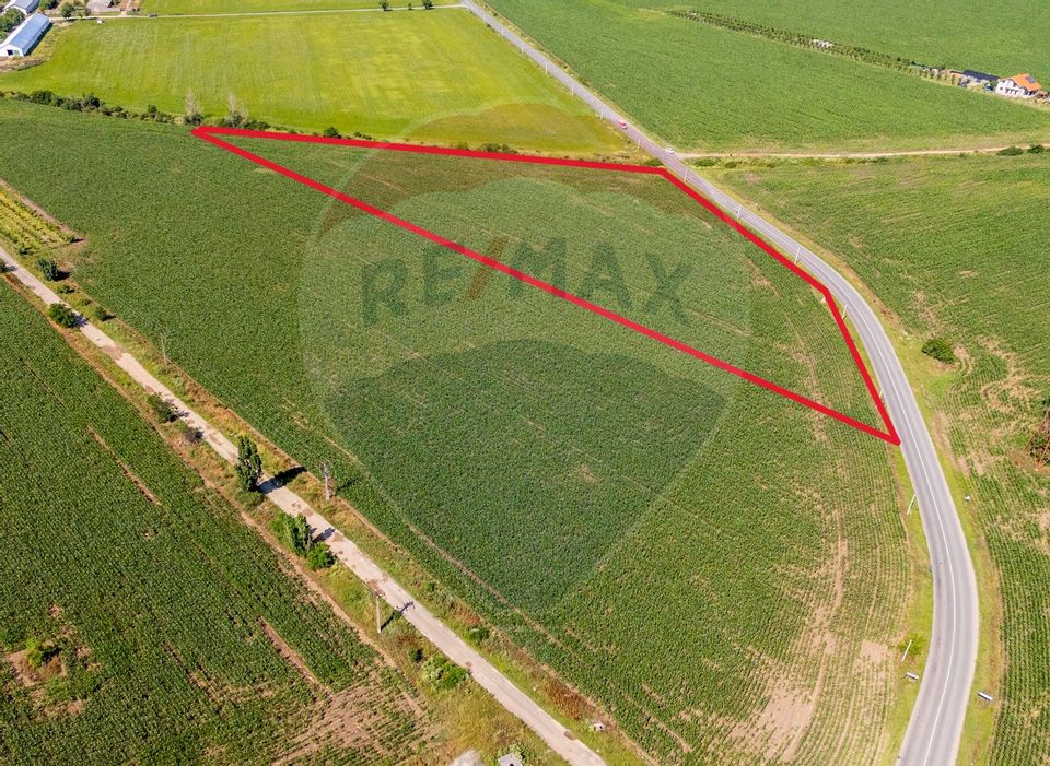 Land 13,233sqm Vladimirescu / Drumul Judetean vladimirescu- horia