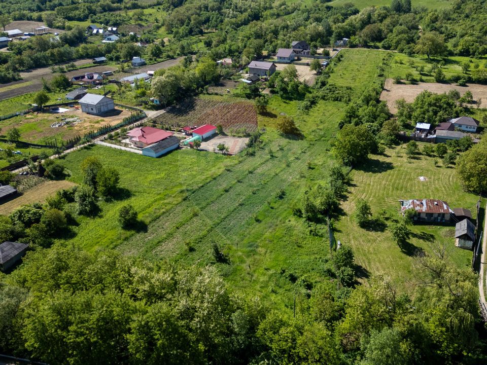 Teren de vanzare -Parava - DRAGUSANI