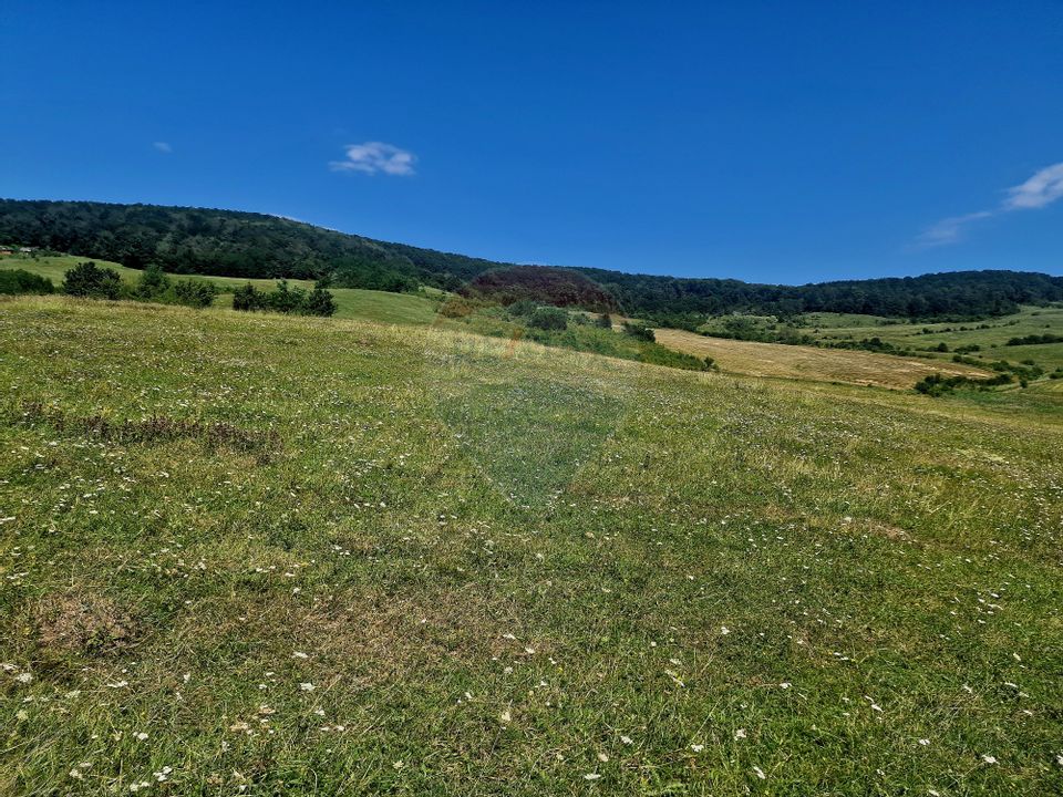 Land 5,000sqm Piatra-Neamt / Strada Punct Petruca