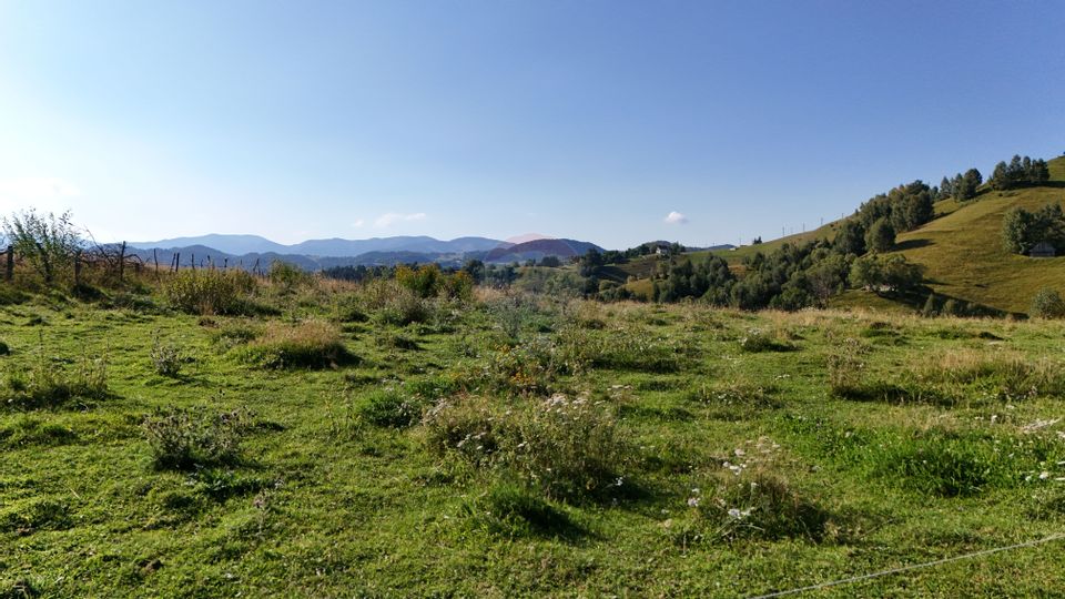 REZERVAT Comision 0% | Teren Extravilan cu PUZ în lucru |