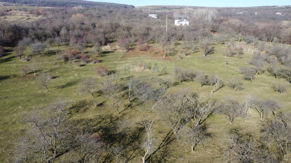 Teren 20.146 mp Dâmbu Rotund (Lomb).Extravilan.Potențial rezidențial