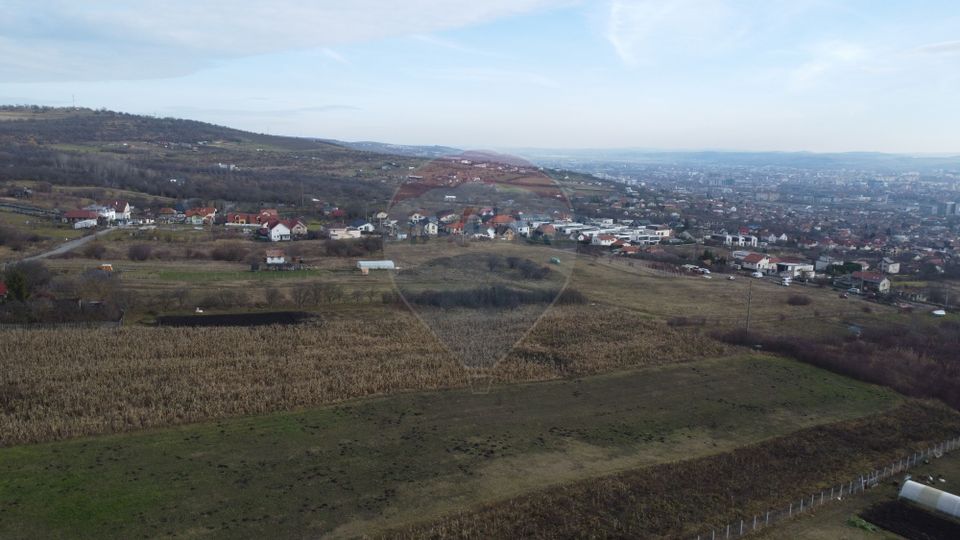 Teren 19.375 mp Dâmbu Rotund. Potențial rezidențial. Extravilan