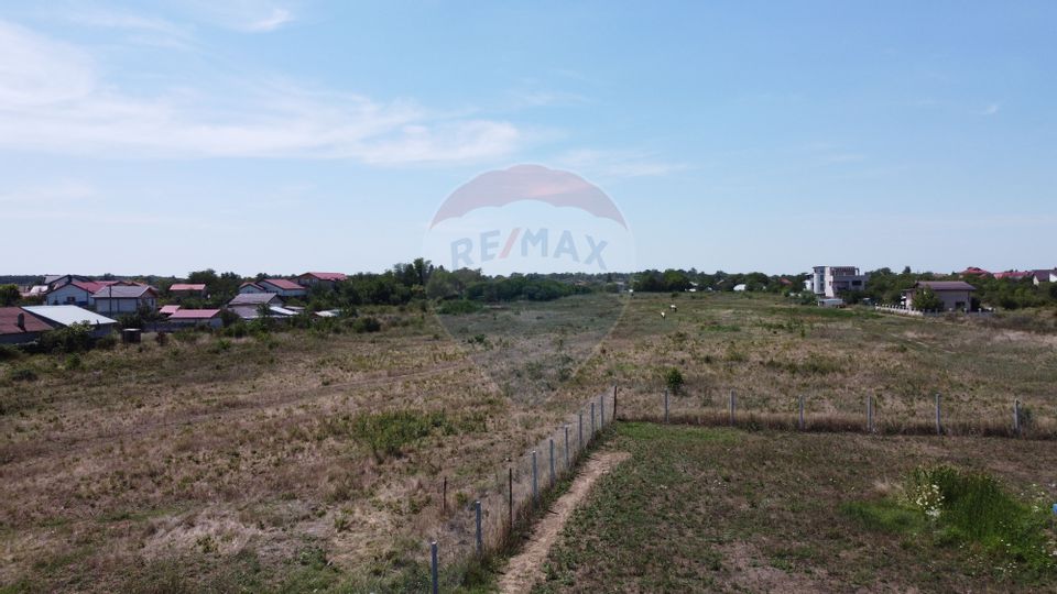 Land 40,000sqm Mogosoaia / Strada Teiului