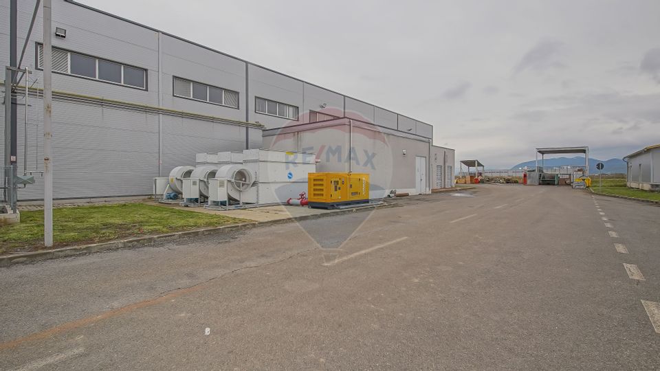 Hală industrială 5.000–12.000 mp de închiriat, Ghimbav