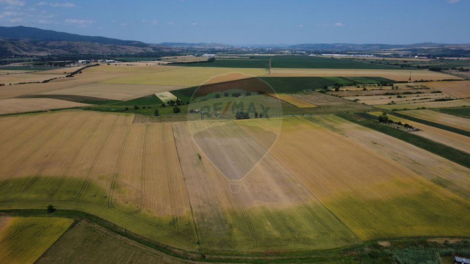 Teren industrial 10.000 mp Vințu de Jos investitie