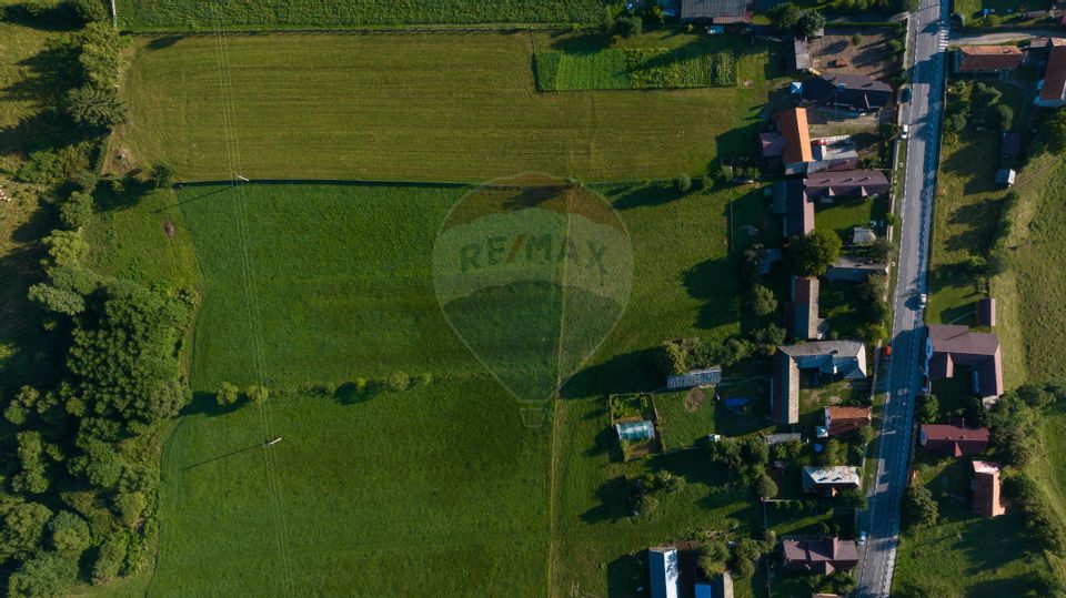 Teren intravilan 7.255 mp +casă rustică – ideal pensiune în Vama Buzău