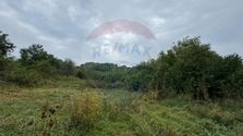 Teren 3542mp Campia Turzii COMISION 0%