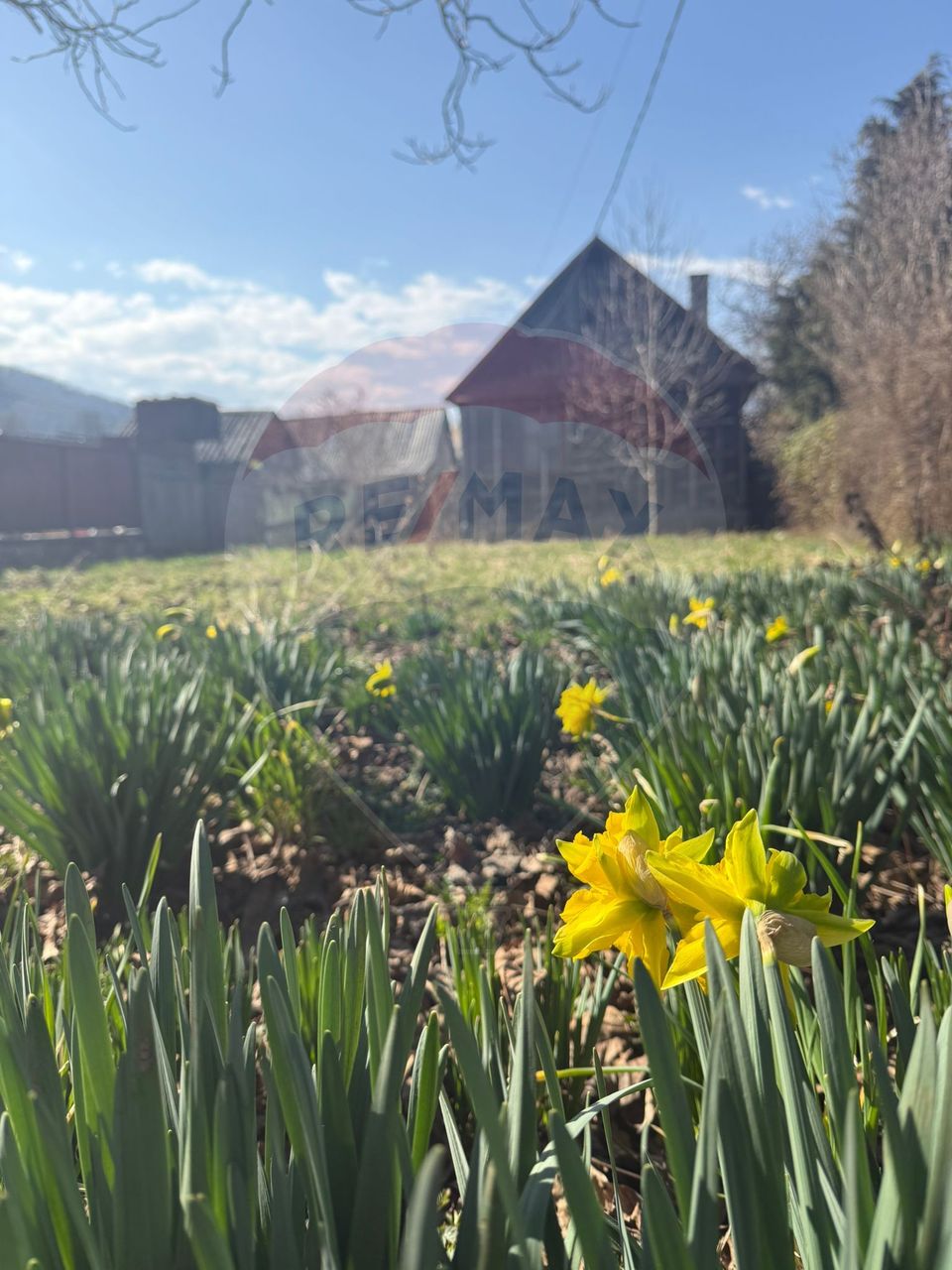 3 room House / Villa for sale