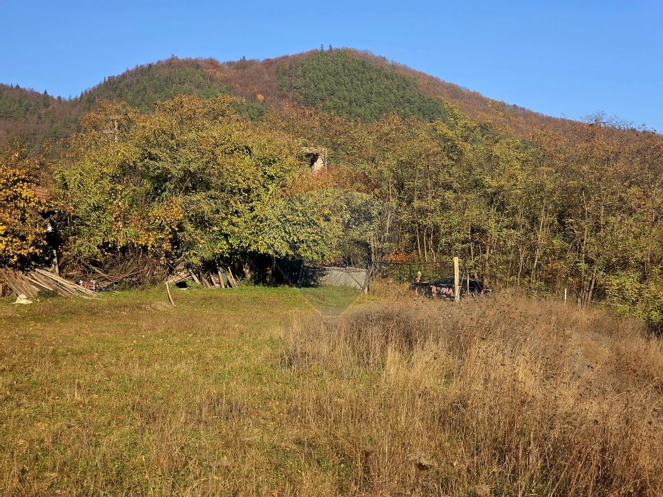 Land 6,874sqm Alexandru cel Bun / Strada plopusor