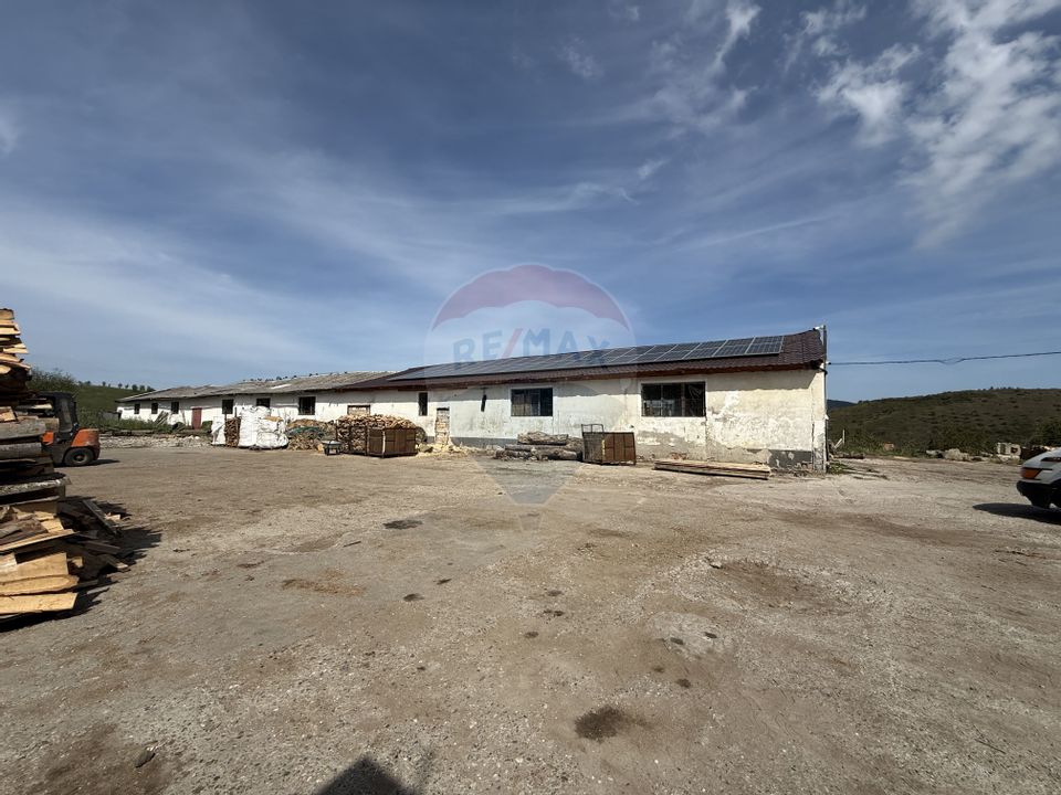 Hala-depozit de vanzare-800 mp-Sic- Investitie