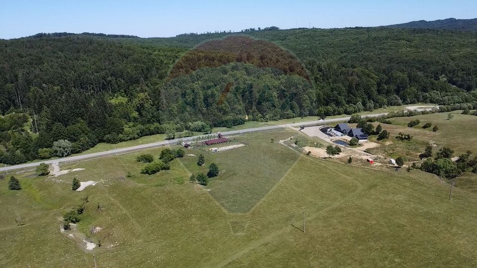 Land 5,561sqm Paltinoasa / Strada principala