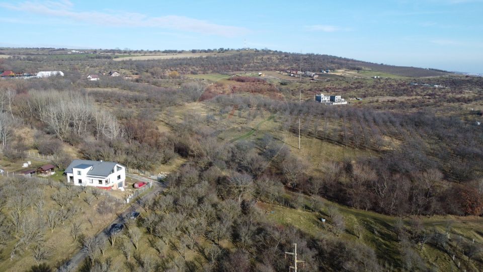 Teren 20.146 mp Dâmbu Rotund (Lomb).Extravilan.Potențial rezidențial