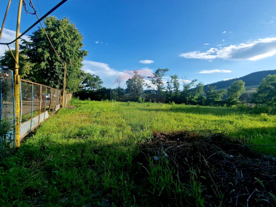 Teren 1,749mp Piatra-Neamt / Strada Zambilelor