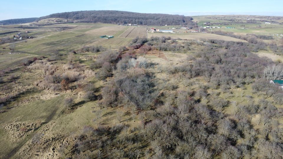 Teren 20.146 mp Dâmbu Rotund (Lomb).Extravilan.Potențial rezidențial