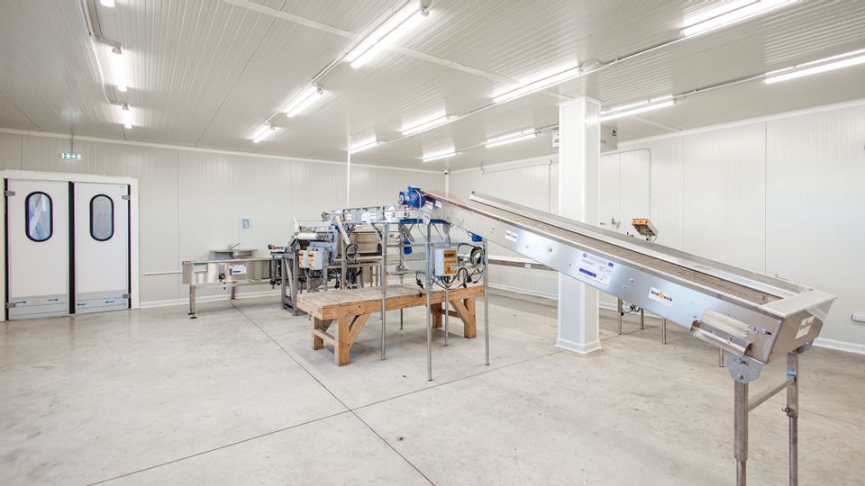 Land 27,720sqm Seini / Vest