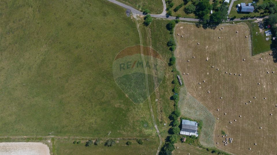 Teren Bran -Sohodol, Strada La mesteceni, 6900mp