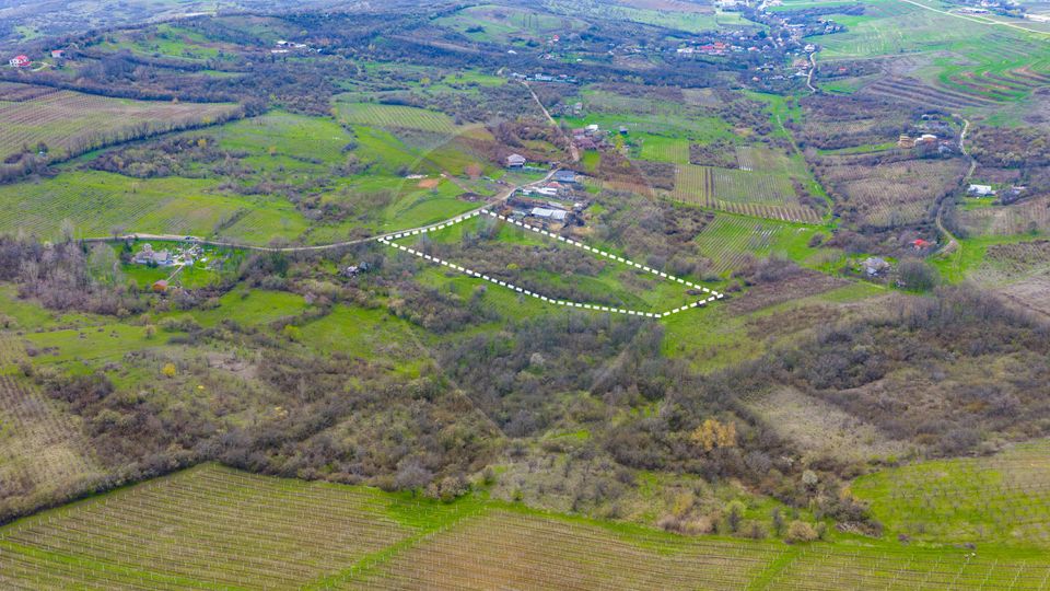 Teren 33.500 mp-Valea Orlei, Prahova/ COMISION 0%