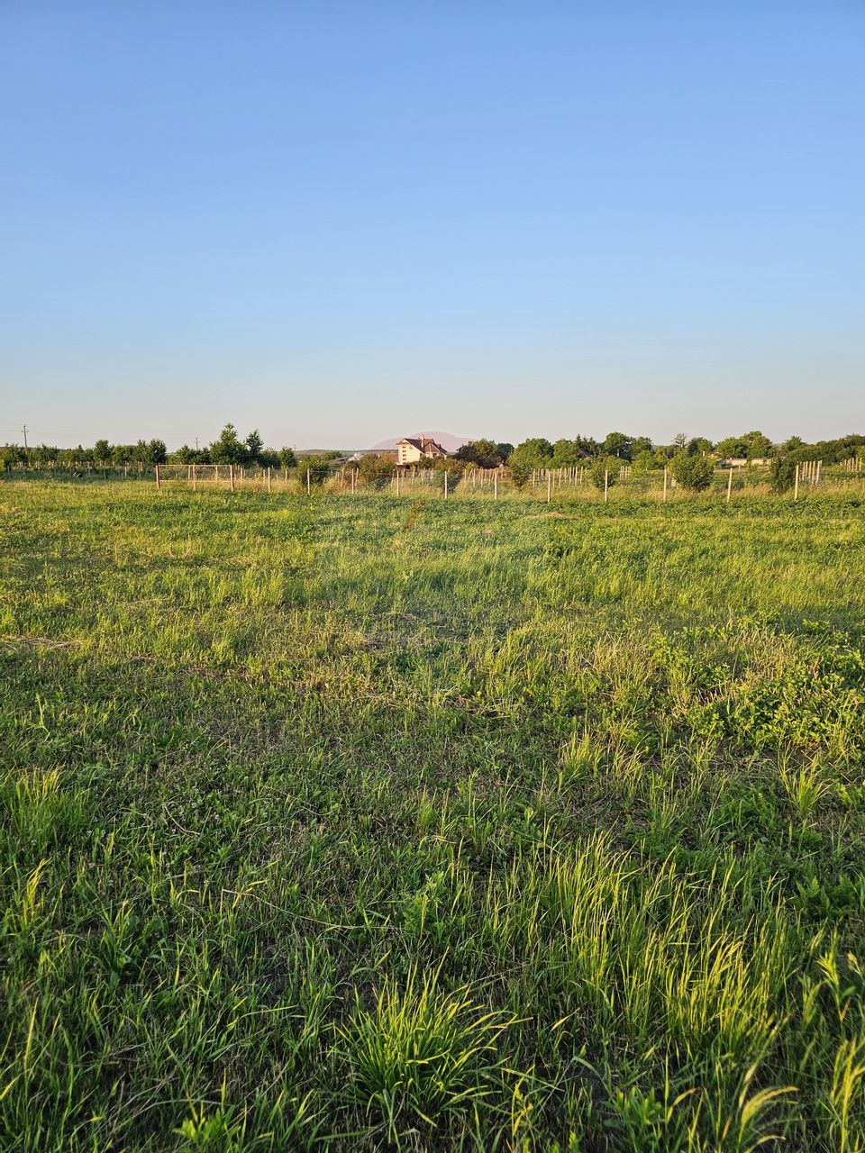 Teren 1,495mp Dobreni / Strada Parau Almas