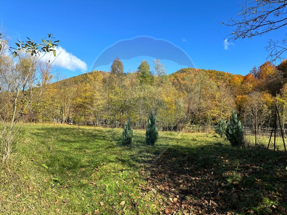 Land 1,350sqm Garcina / Strada Cuejdiului