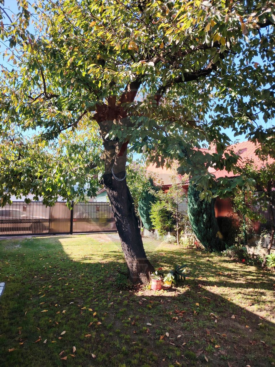 Casa de inchiriat in Centrul Vechi – ideala pentru locuinta sau birou