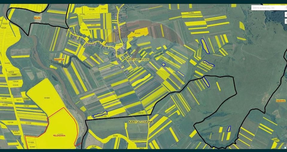 Vânzare Teren 36.900 mp – Arabil și Fâneață, 8 Parcelele Intabulate