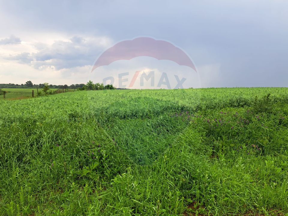 Teren Ciolpani 15.000 mp oportunitate posibilitate lotizare 5000 mp