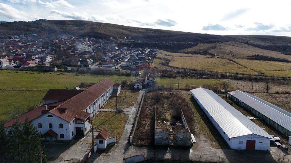 Teren intravilan 1.729 mp + hală parțial demolată | Teliu I Comision 0