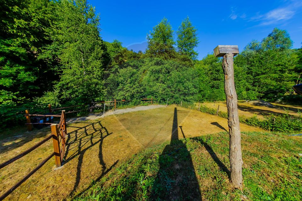 CASA DEOSEBITA DE VANZARE INTRERAURI, COAS