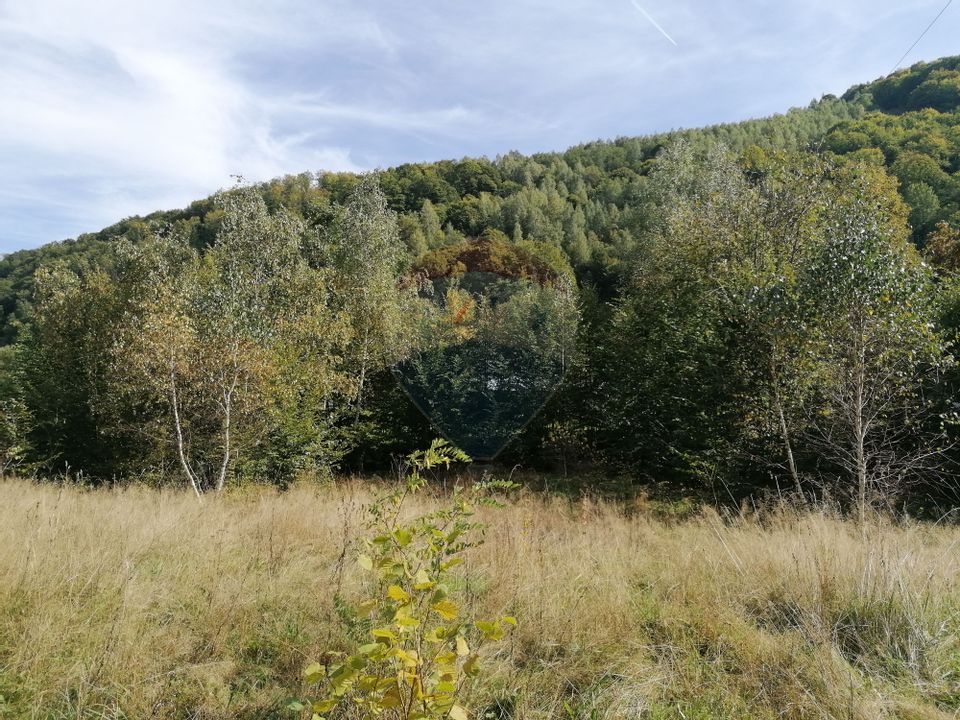 Teren 6,000mp Valea Draganului / Strada Principala