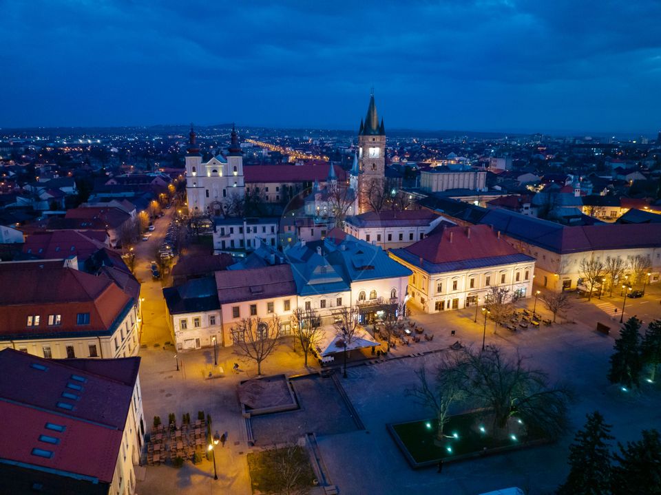 11 room Hotel / Pension for sale, Ultracentral area