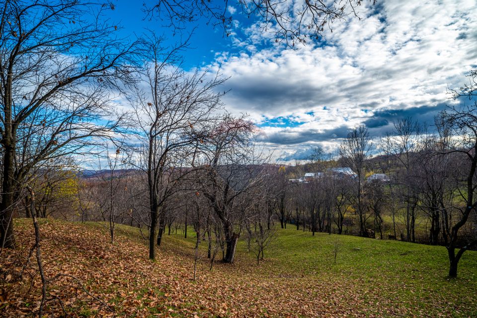 Teren intravilan 4384 mp – Comuna Talea,  județul Prahova