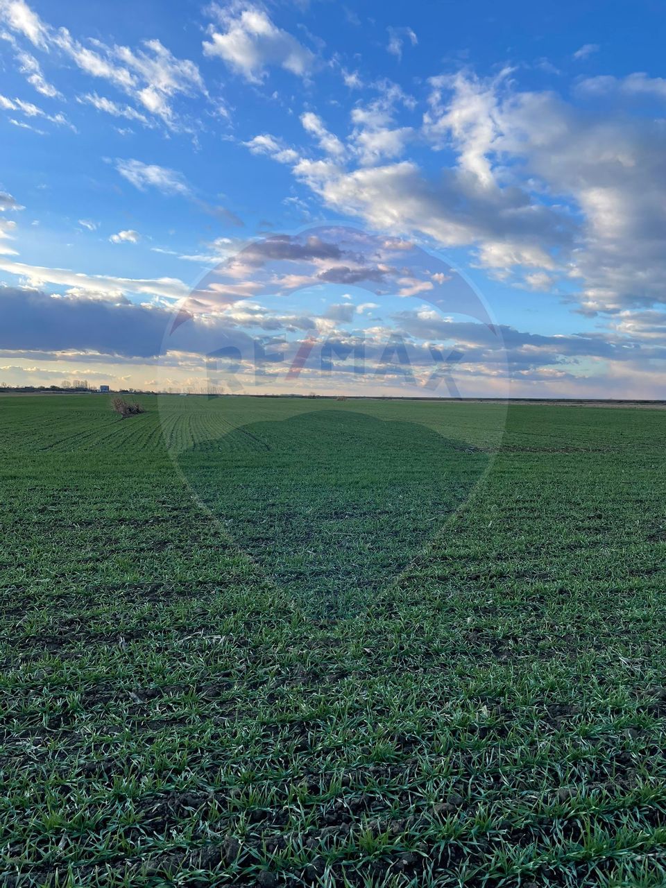 Land 10,800sqm Gruiu / None
