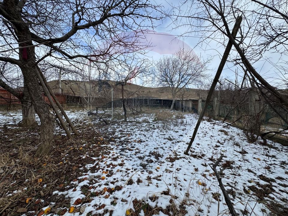 6 room House / Villa for sale, Darmanesti area