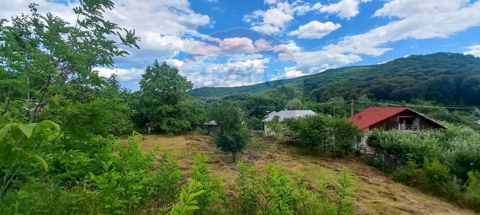 Teren Intravilan de vanzare 3551mp Poiana Copaceni Com Gura Vitioarei