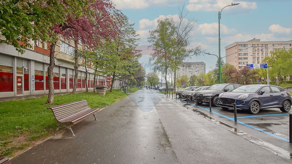 Apartament 2 camere, B-dul Victoriei