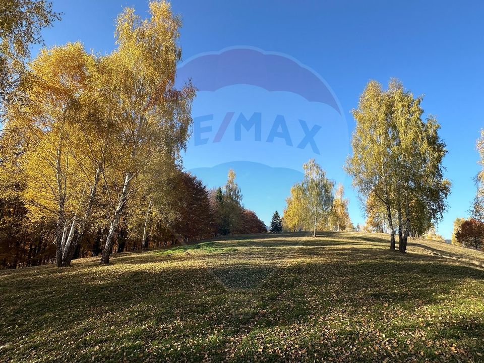 Investment opportunity ! Dream land in Pestera - 125,370 sqm