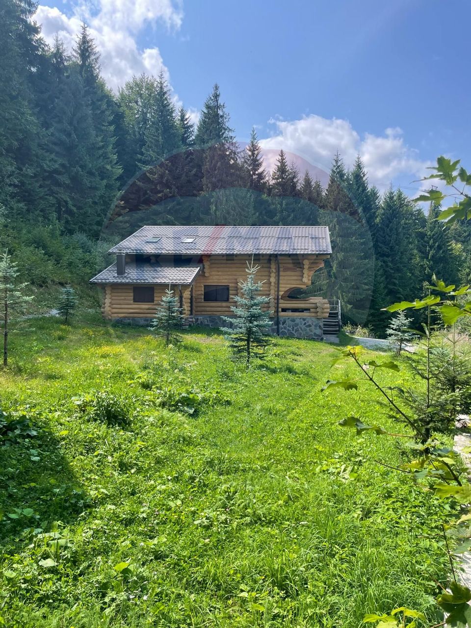 Cabană în inima munților,acces la pârtia de schi din Borșa,teren2200mp